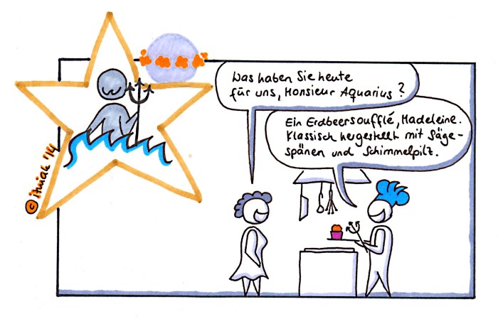 sternzeichen11_wassermann_feb_0514_erfinderisch und originell