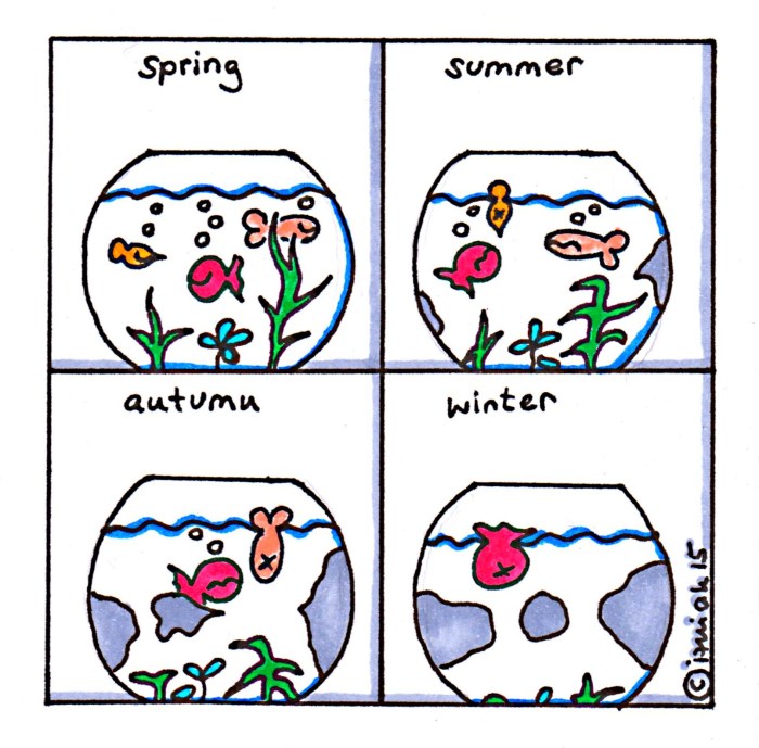 vorsatzkultur_fische 0115