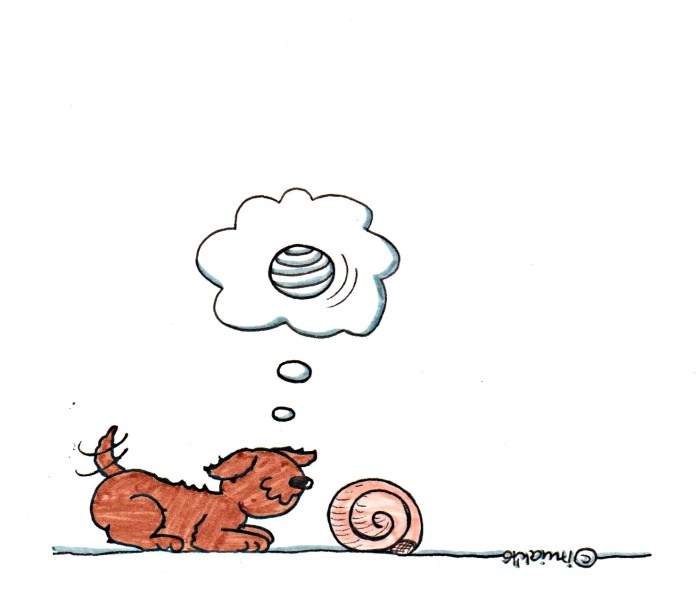 fromm_grunbegriffepa_3ubertragung-0916