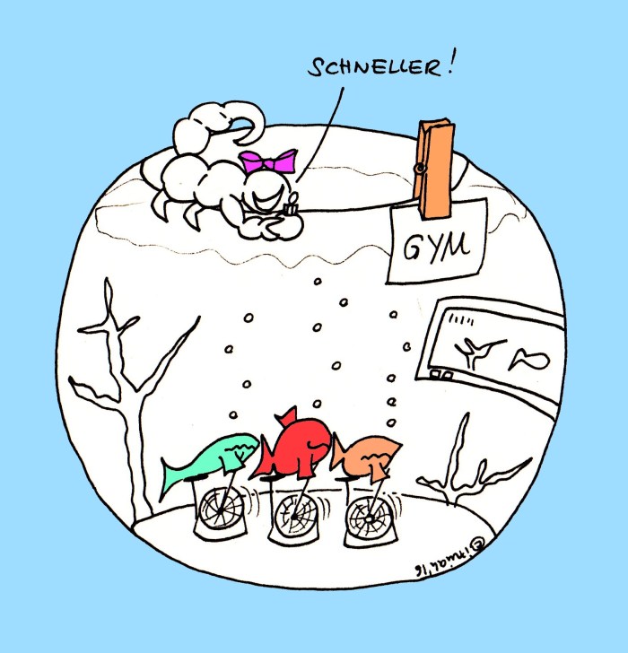 fitness_fur_alle_michi1016