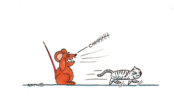 perpektivenwechsel_katzemaus-1016