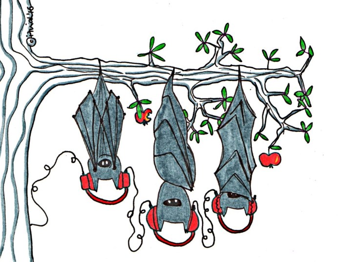 chillen_fledermaus-1116