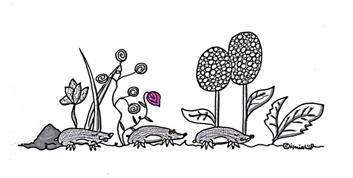 WennKeinerDenWegKennt 0618